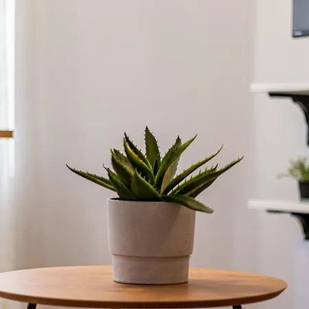2-bedroom Oasis In Center *